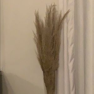 Meet your Posher, Marlene